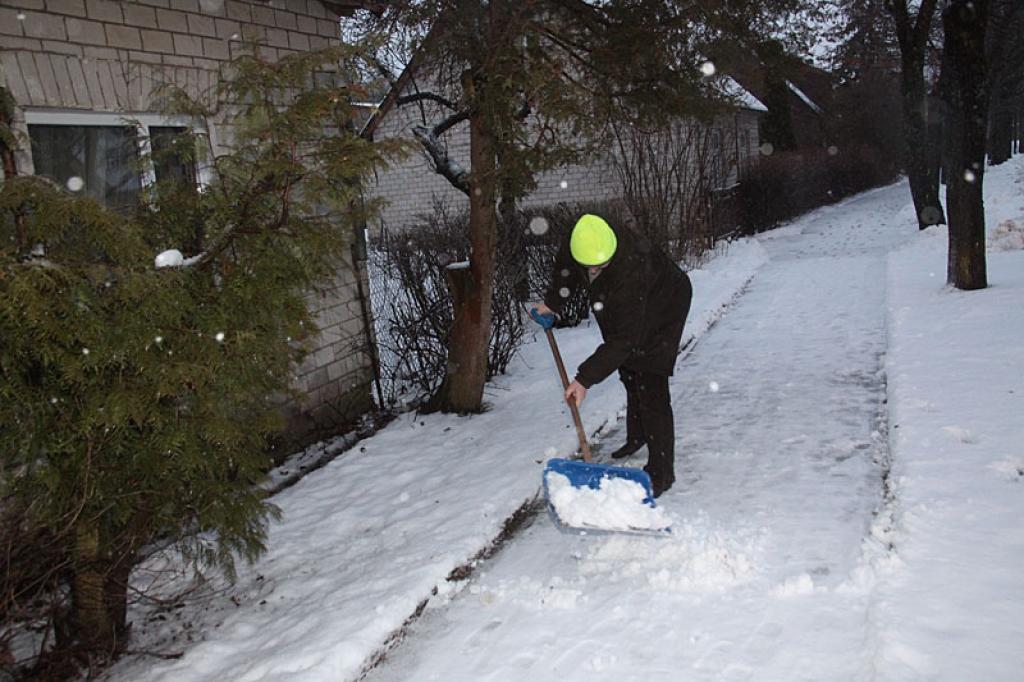 Autors: Didzis Bauers