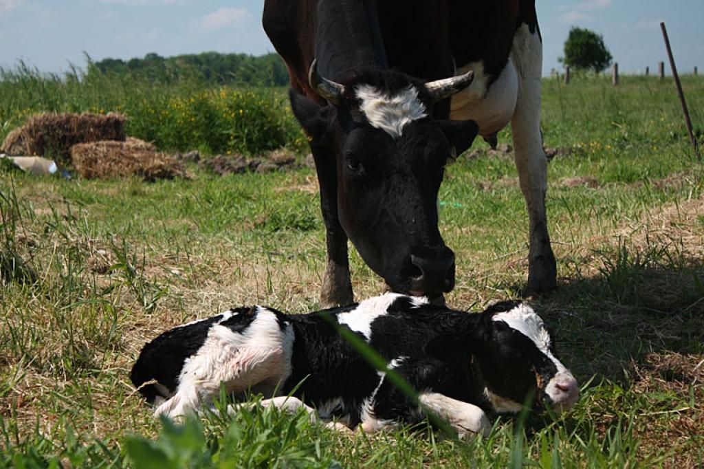 Autors: Aija Konrāde