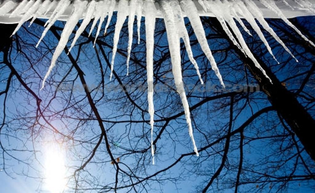 Autors: worldofstock.com