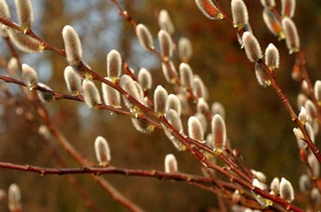 Autors: www.staburags.lv