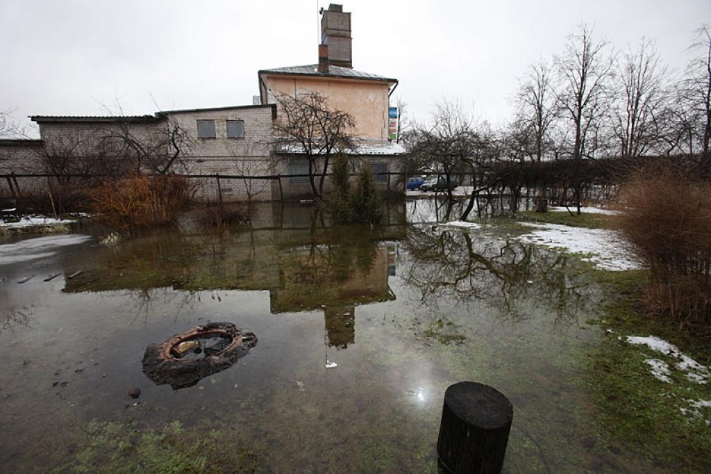 Autors: Gatis Bogdanovs