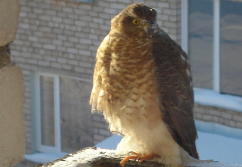 Autors: Artūrs Martusevičs