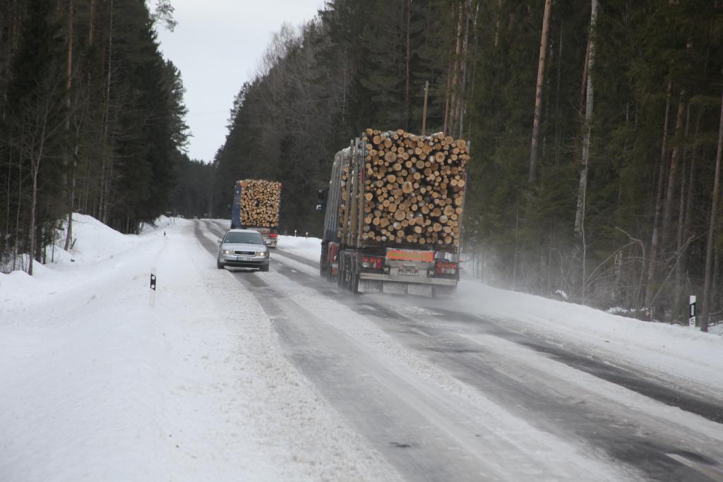 Autors: Gatis Bogdanovs
