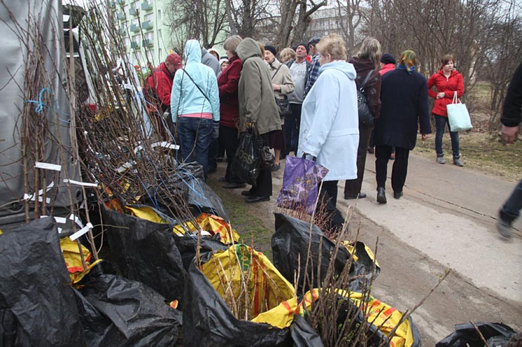 Autors: Gatis Bogdanovs