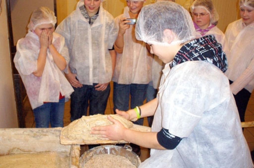 Autors: www.bauskasdzive.lv