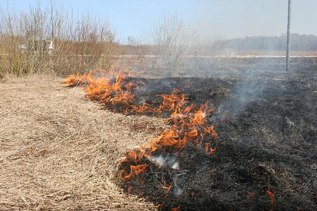 Autors: Gatis Bogdanovs (no arhīva)