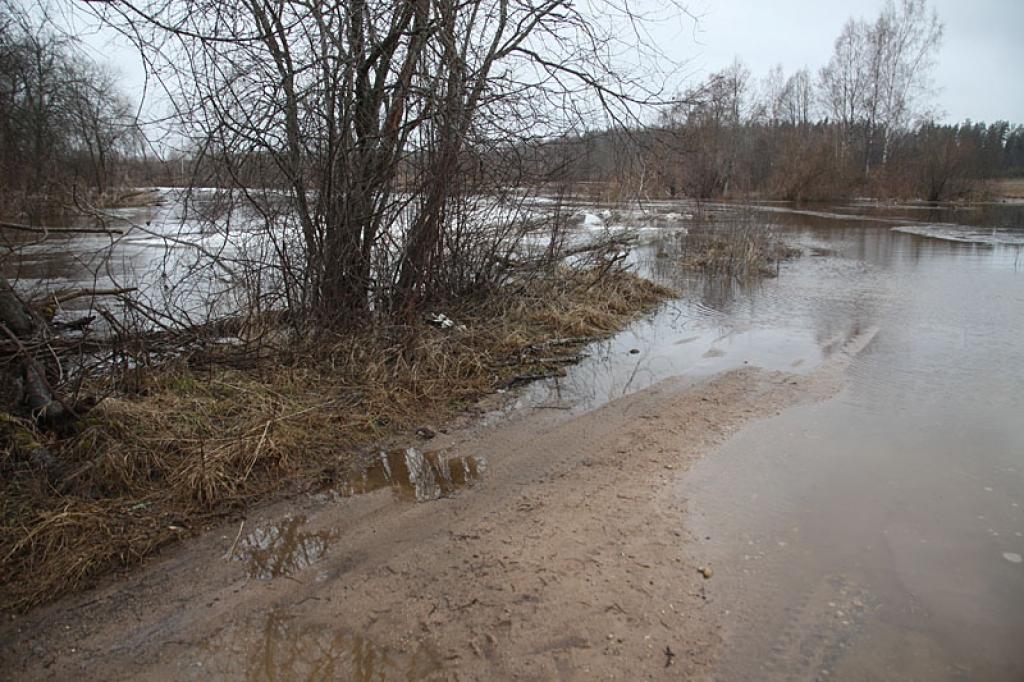 Pagājušajā otrdienā viesojoties tur, Gauja bija tikai nedaudz izgājusi no krastiem
Autors: Gatis Bogdanovs