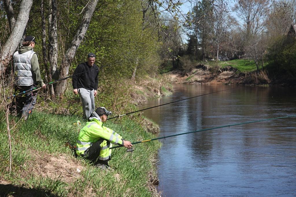 Autors: Gatis Bogdanovs