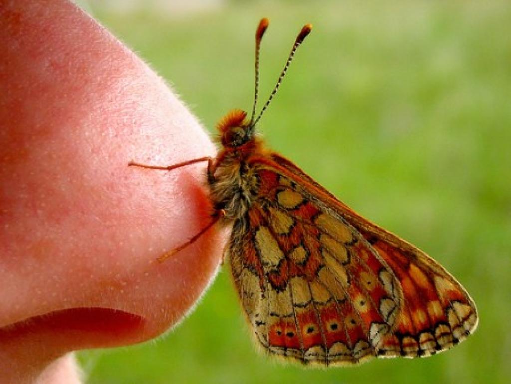 Autors: www.sieviesuklubs.lv