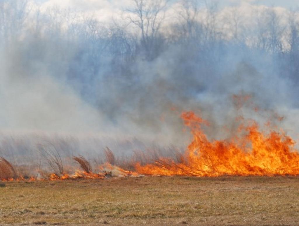 Autors: ventasbalss.lv