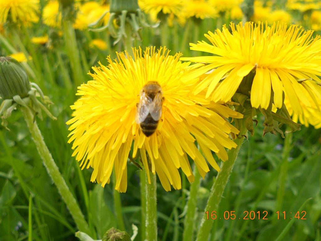 Autors: Indra Kiseļova