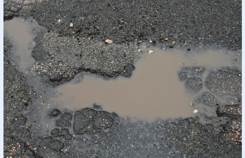 Autors: Raitis Puriņš, Dienas mediji