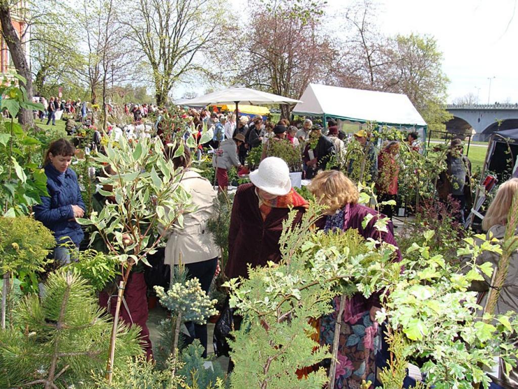 Autors: No personiskā arhīva.