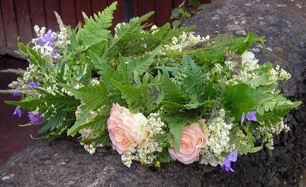 Fotogrāfija piedalījusies portāla fotokonkursā 