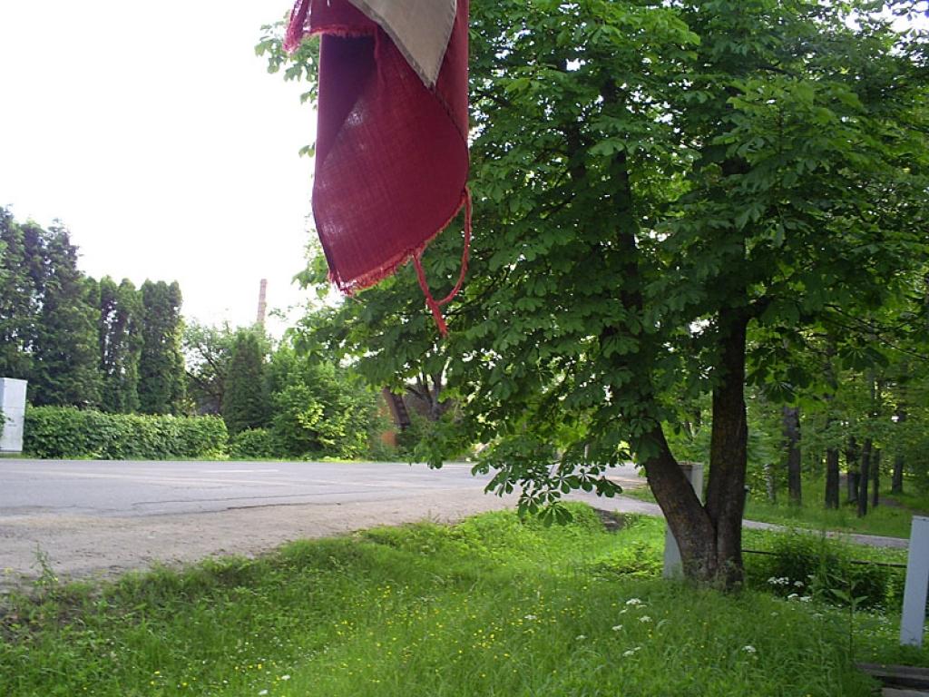 Autors: No personiskā arhīva.