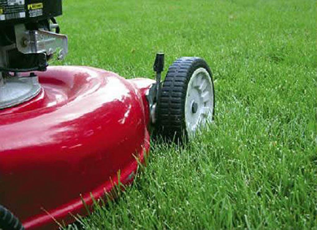 Autors: www.spoki.lv