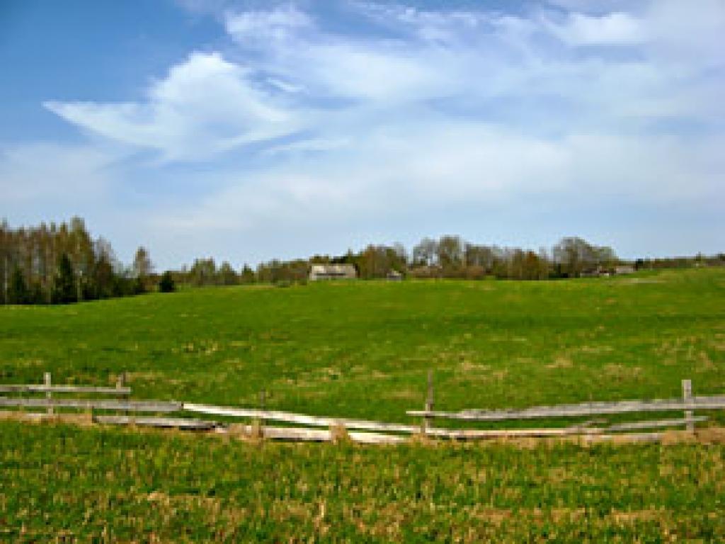 Autors: www.dziedava.lv