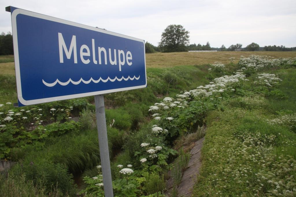 Pirms kāda laika latvāņi auga tikai vienā Melnupes krastā, savukārt tagad ar tiem aizaudzis arī upes otrs krasts.
Autors: Gatis Bogdanovs