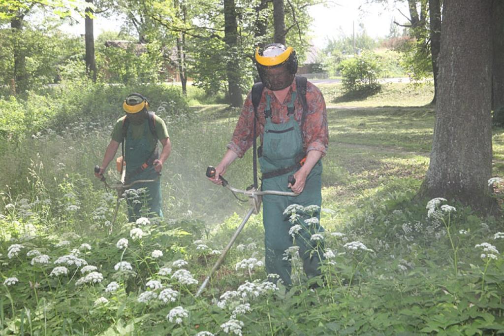 Pašlaik notiek intensīva pļaušana Spārītes parka malā, sākot no Blaumaņa ielas puses.
Autors: Gatis Bogdanovs