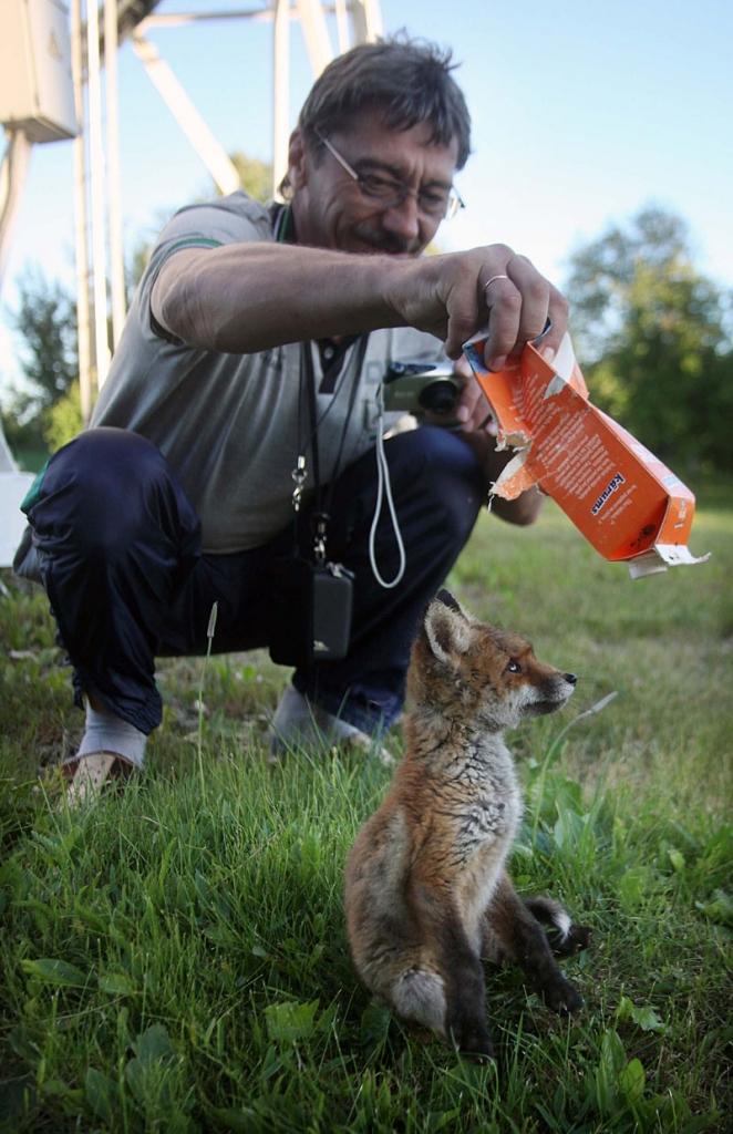 Autors: Gatis Bogdanovs 
