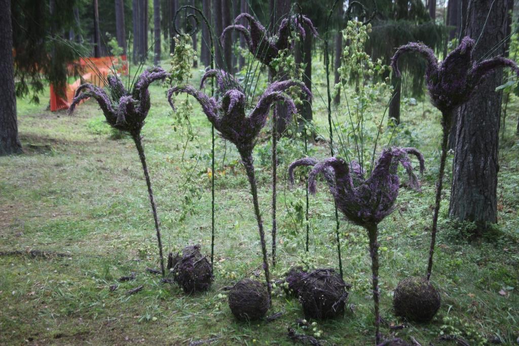 Floristu komanda “Anemone” gulbenietes Ineses Baumanes vadībā Apei uzdāvinājusi floristikas kompozīciju, kas izceļ aizejošas vasaras skaistumu ziedošo viršu krāsās. 
Autors: Gatis Bogdanovs