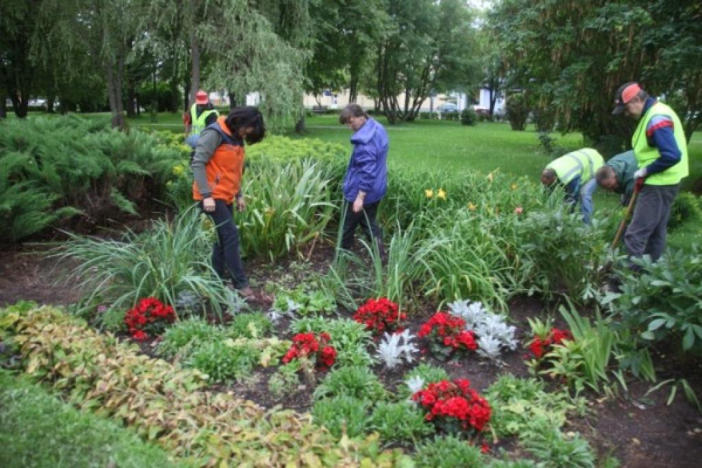 Aluksniesiem.lv raksta attēla aizvietotājs