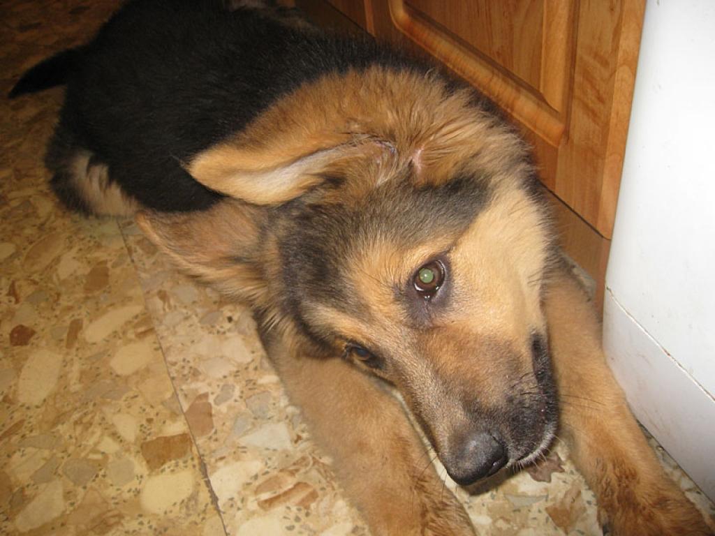 Autors: Tamāra Ulase