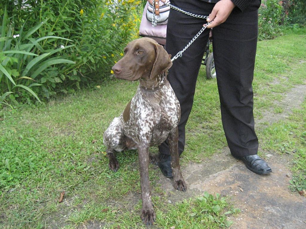 Autors: No personiskā arhīva 