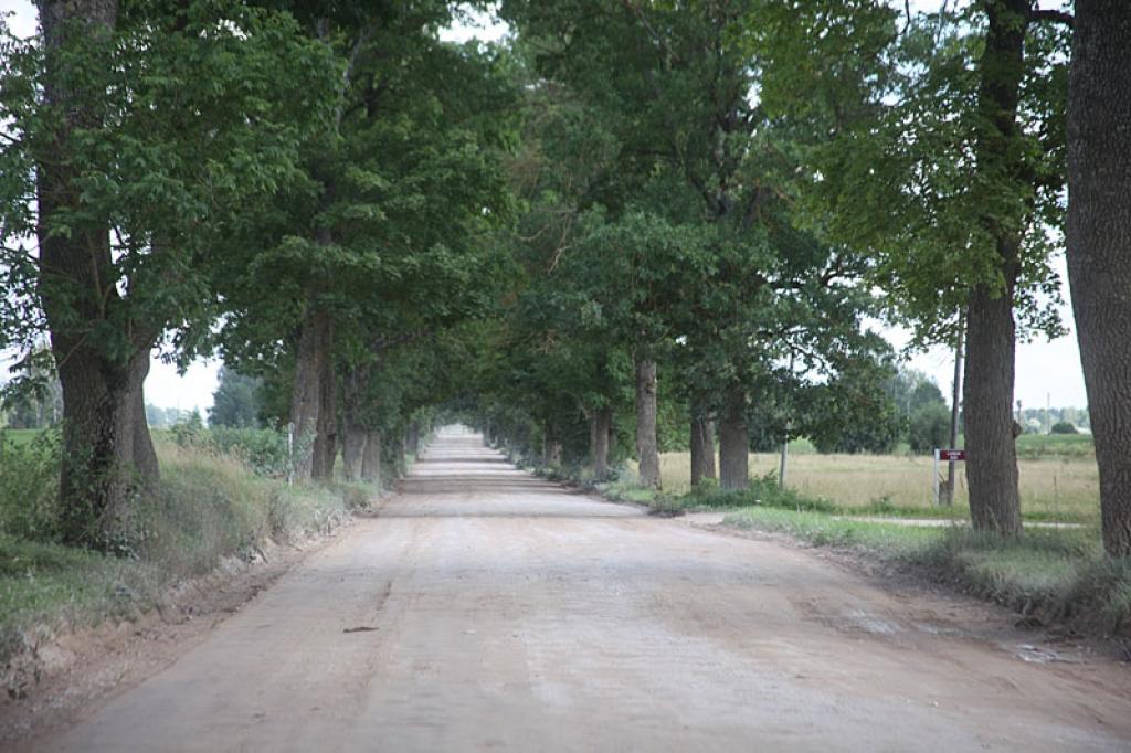 Pašreiz vēl nav skaidri zināms, kad varētu sākties darbi pie Rēzeknes ceļa posma no Pededzes tilta līdz Gulbenei rekonstrukcija. 
Autors: Gatis Bogdanovs