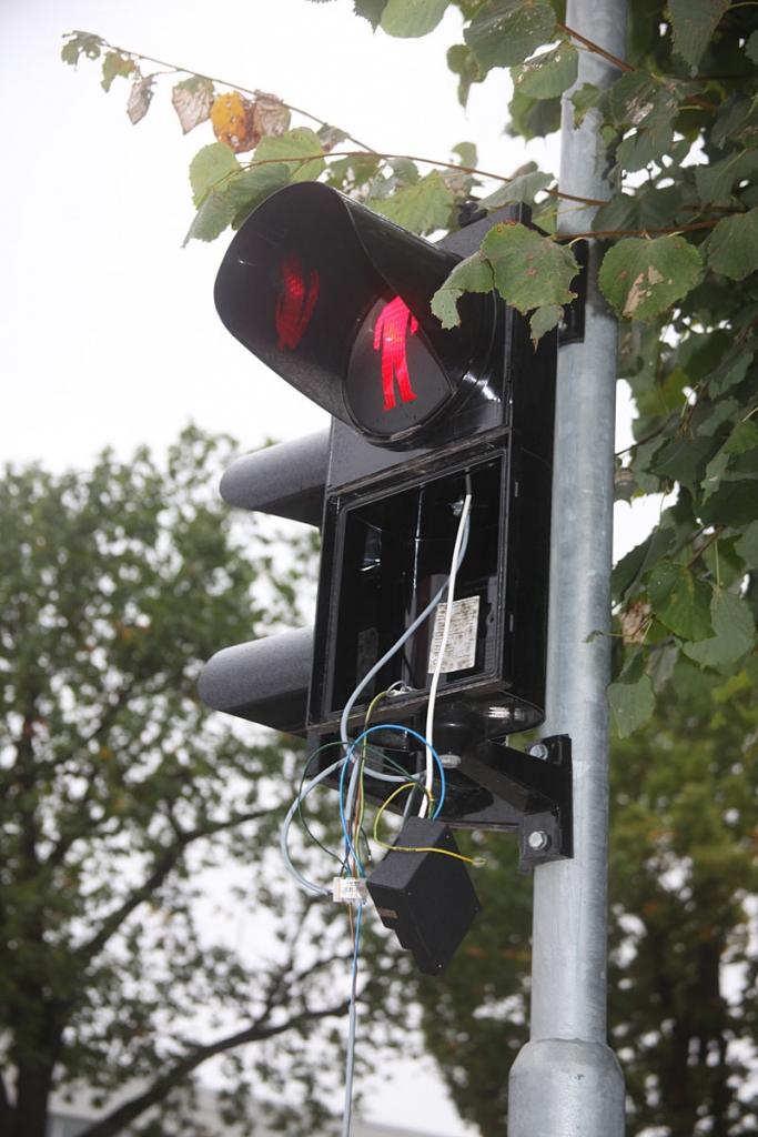 Autors: Gatis Bogdanovs