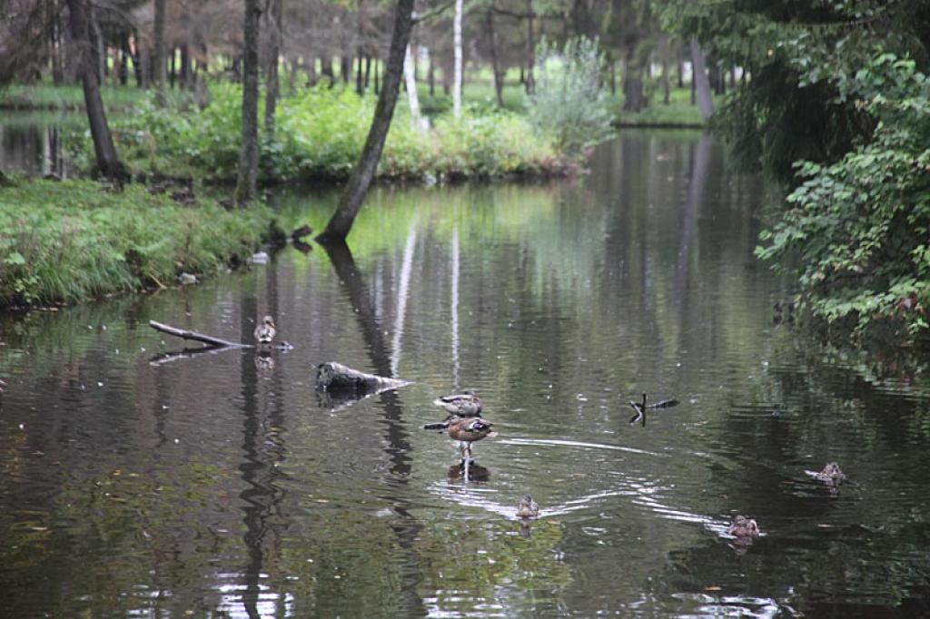 Autors: Gatis Bogdanovs