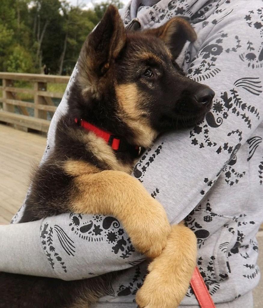 Autors: No biedrības 