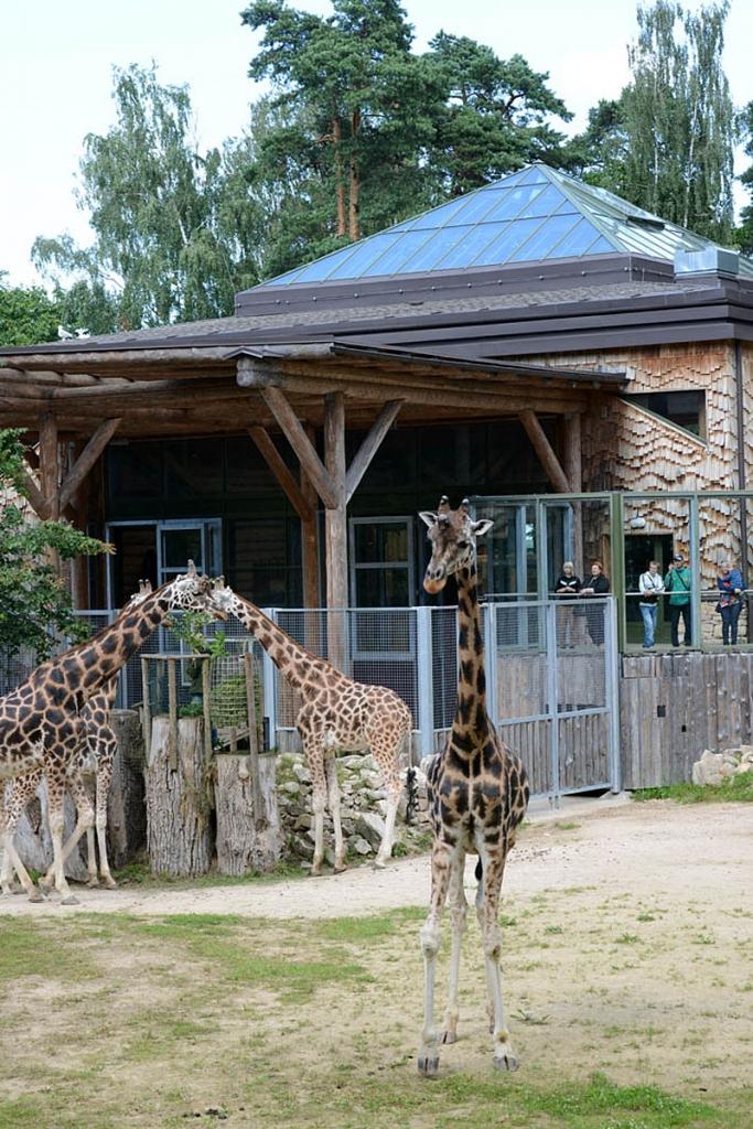 Autors: No Zooloģiskā dārza arhīva