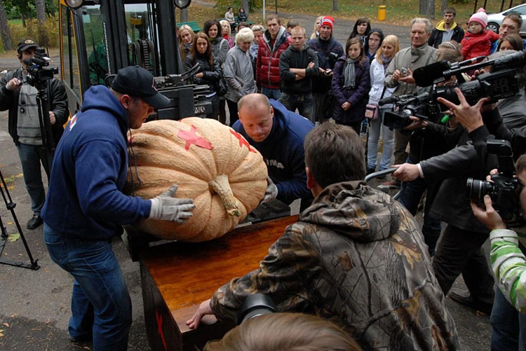  Aina no pagājušā gada pasākuma. 
Autors: No personiskā arhīva. 