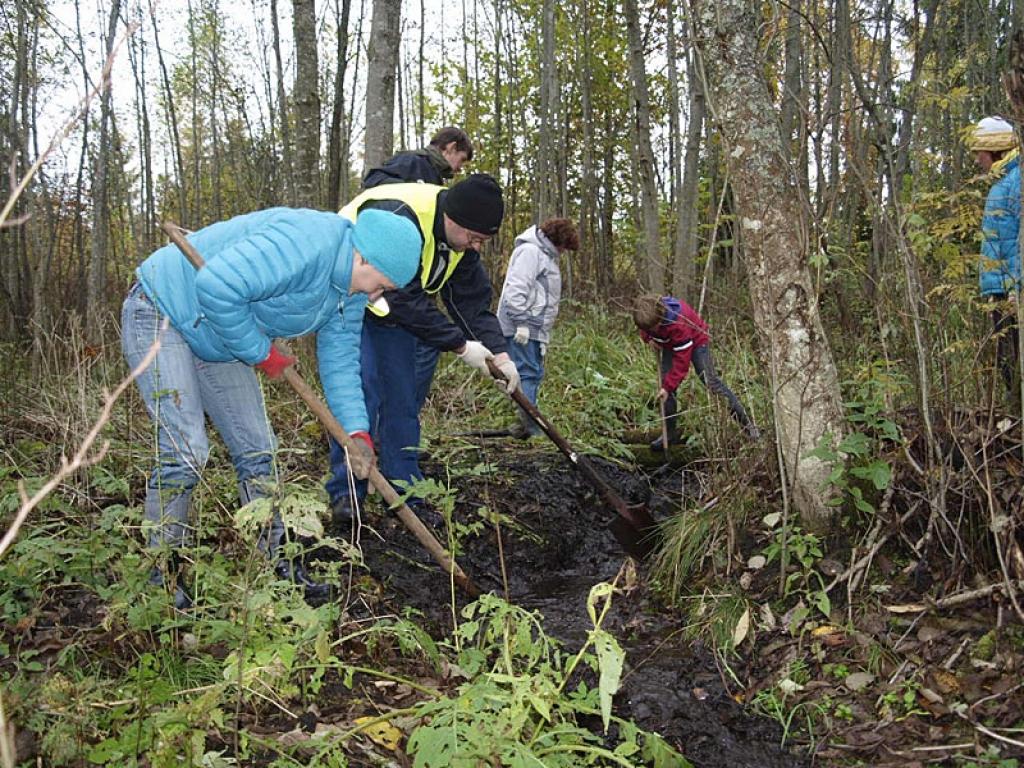 Brīvprātīgie sestdien izkopa jaunatklāto avotu Andra Birznieka īpašumā Galgauskā.
Autors: No personiskā arhīva.