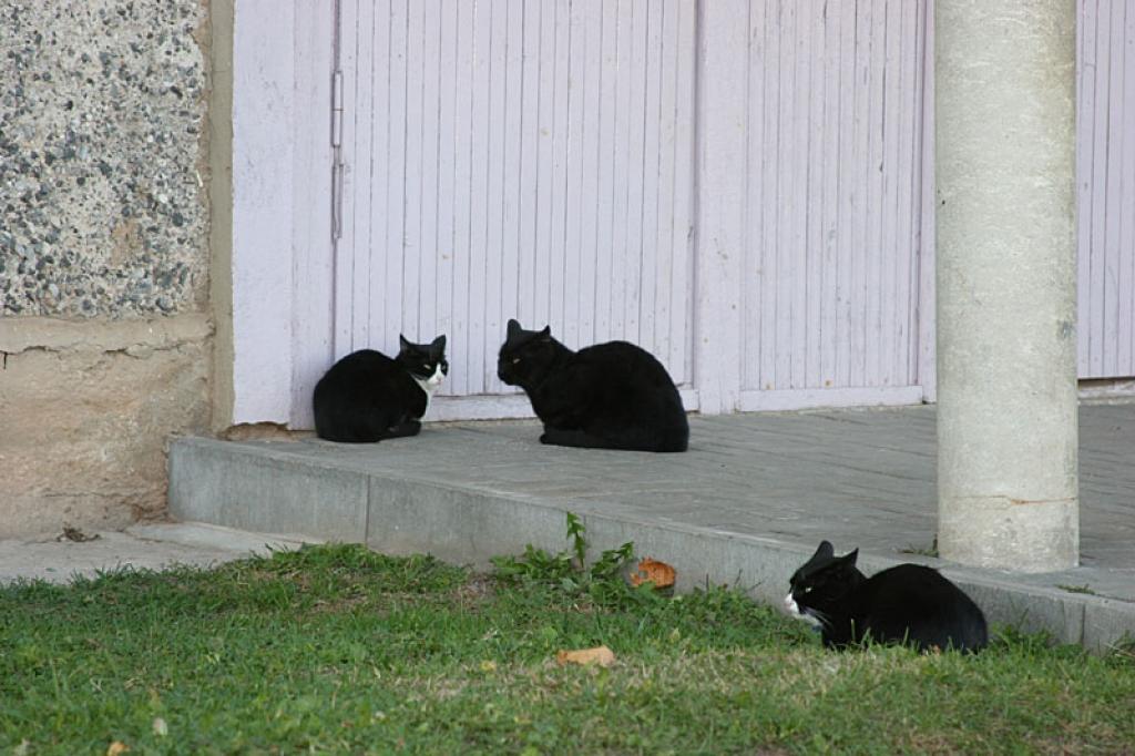 Autors: Gatis Bogdanovs