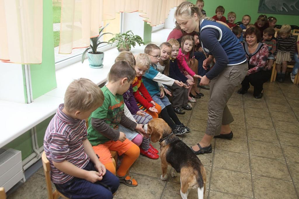 Autors: Gatis Bogdanovs