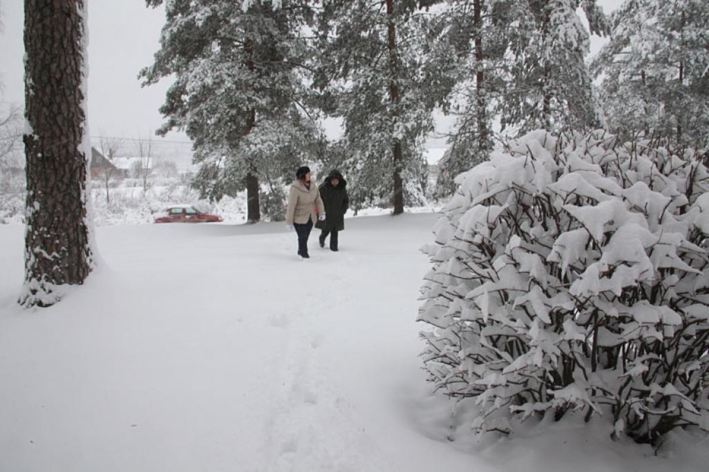 Autors: Gatis Bogdanovs