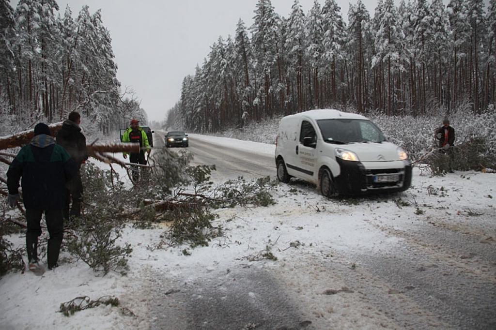Šodien uz Gulbenes - Smiltenes šosejas netālu no Tirzas tilta no sniega svara uz ceļa nogāzās pamatīgs koks. Par laimi, tas neuzkrita uz garām braucošajām mašīnām. Mežstrādnieki, kuri tajā mirklī brauca pa šo ceļu, operatīvi saviem spēkiem sagrieza koku un autovadītāji varēja turpināt savu ceļu.
Autors: Gatis Bogdanovs