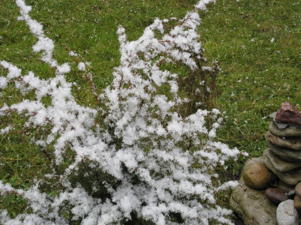 Autors: Tamāra Ulase