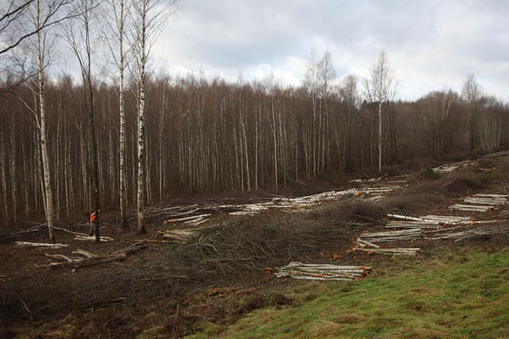 Autors: Gatis Bogdanovs