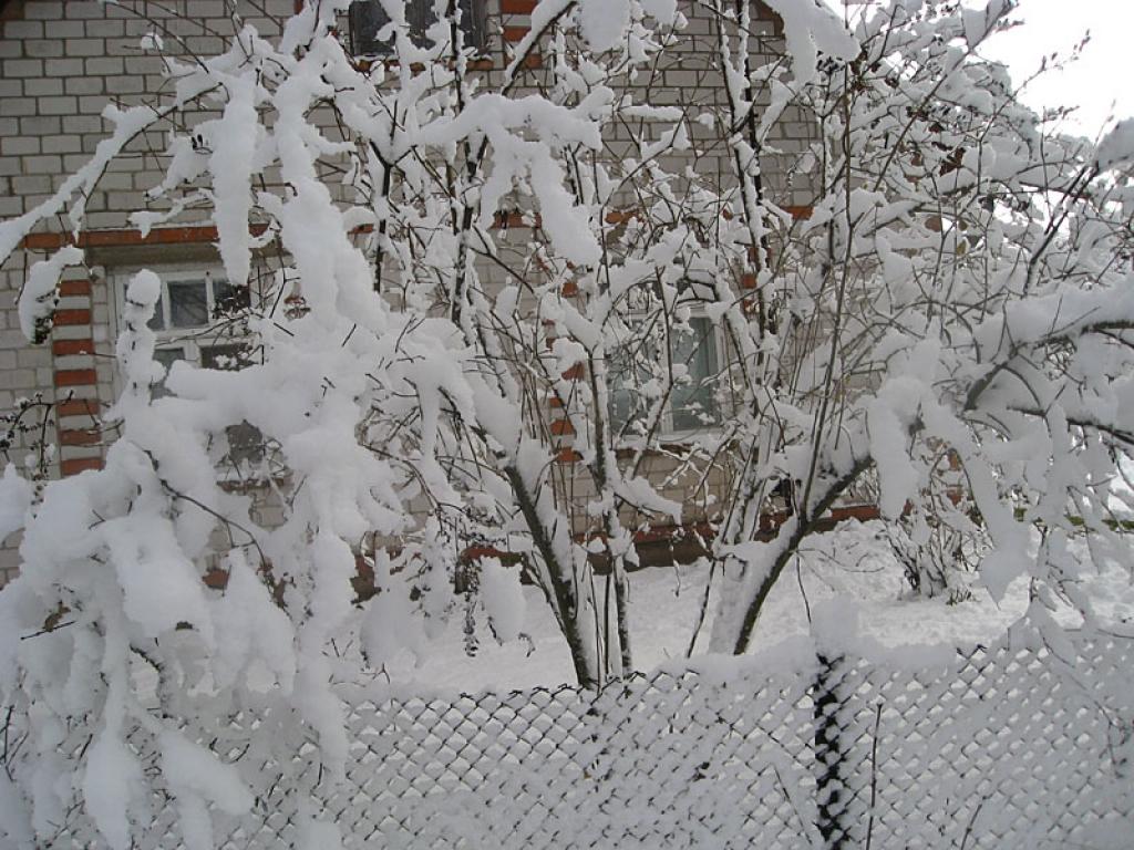 Autors: Tamāra Ulase