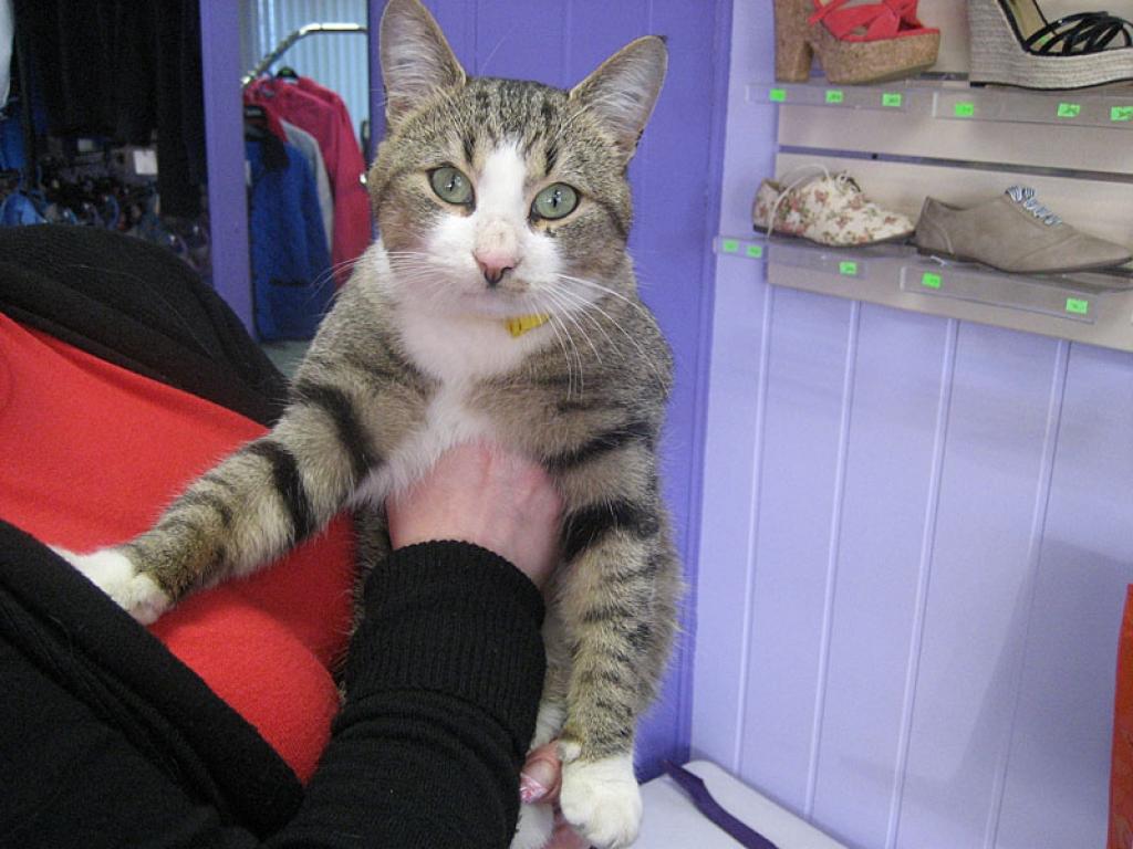 Autors: Diāna Odumiņa