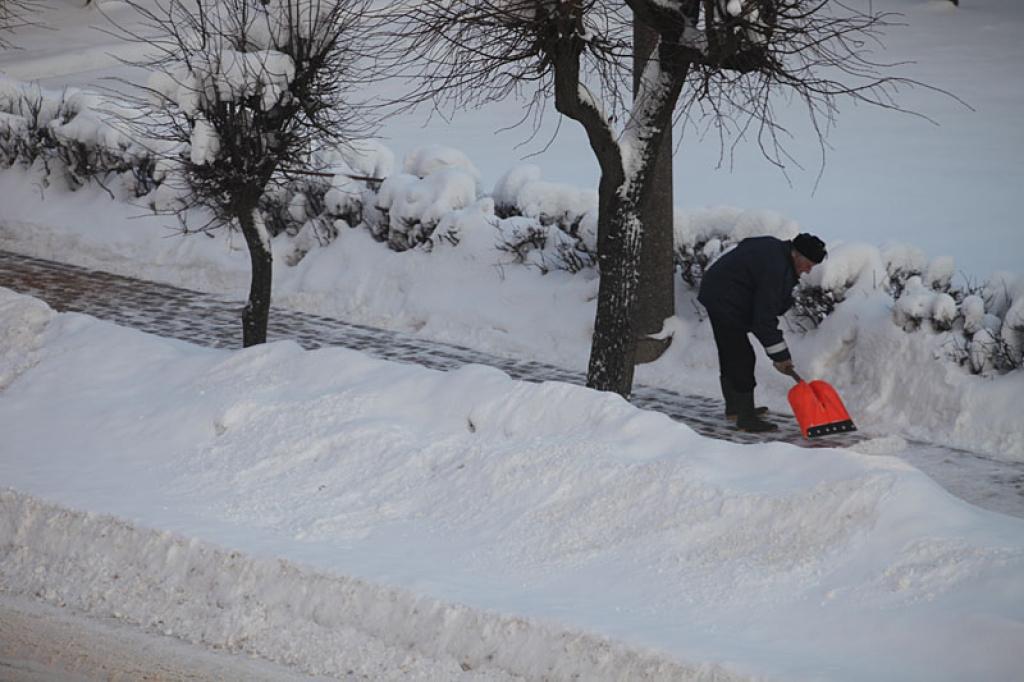 Autors: Gatis Bogdanovs
