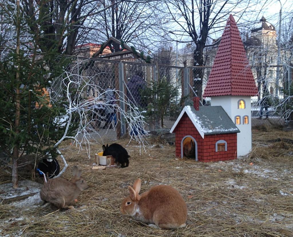 Autors: Publicitātes foto.