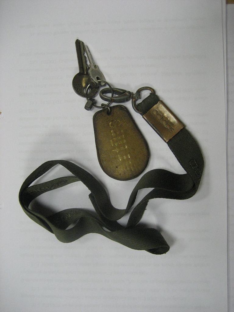 Šīs atslēgas 11.decembrī atrastas Gulbenē, Spārītes parkā.
Autors: Diāna Odumiņa