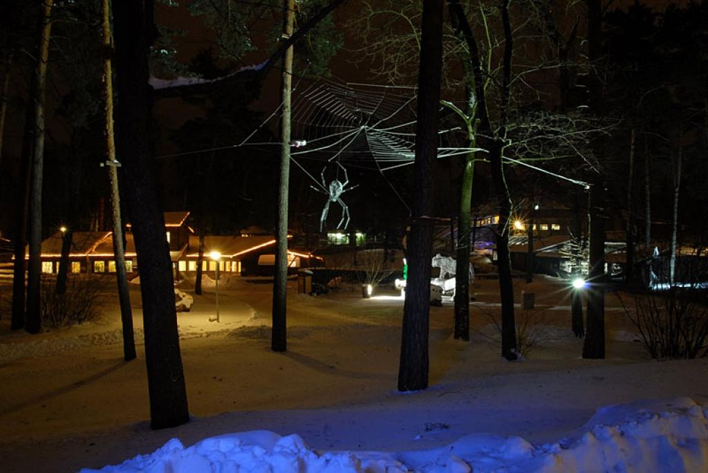 Autors: No Zooloģiskā dārza arhīva