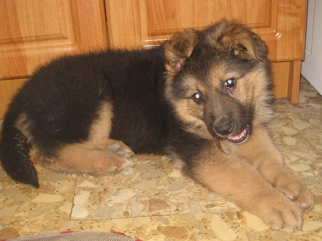 Autors: Tamāra Ulase