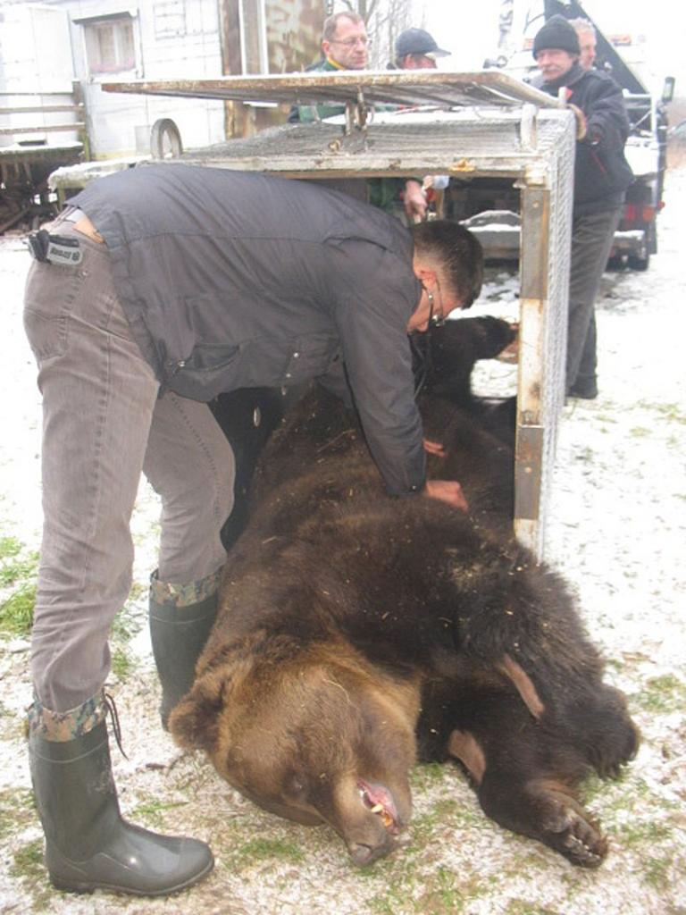 Autors: No personiskā arhīva 