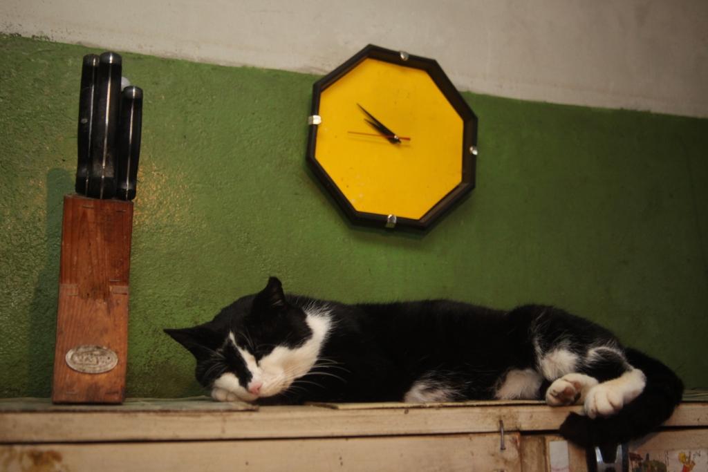 Autors: Gatis Bogdanovs